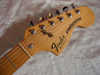 bigfender_strat_antigua_1979dscn9432.jpg