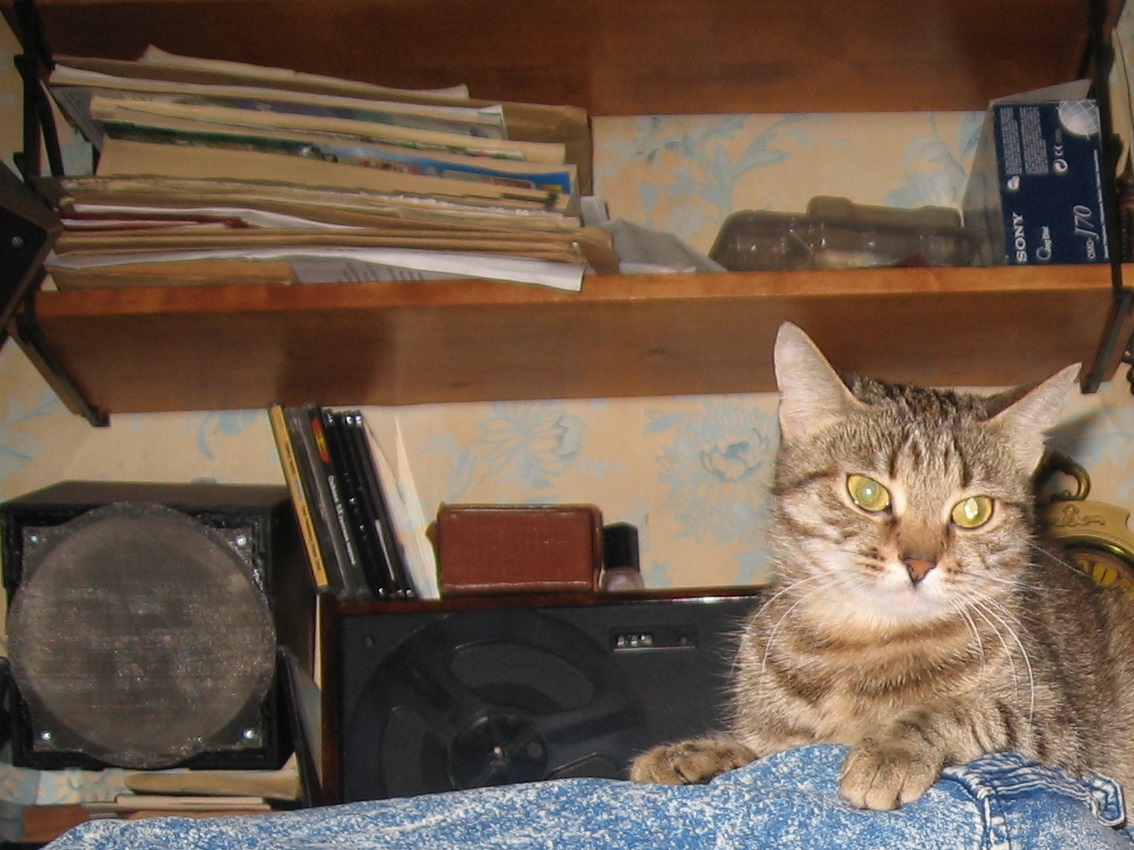 mulay3.jpg