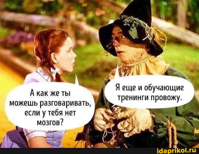 koych.jpg