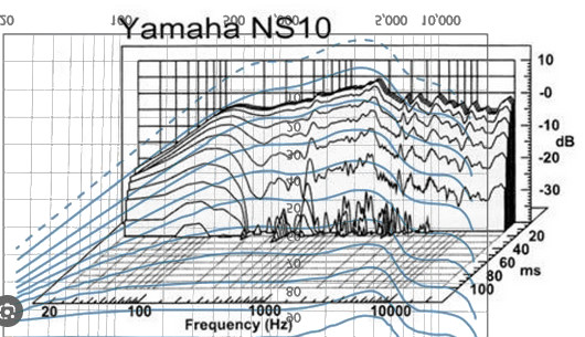 ns10.jpg