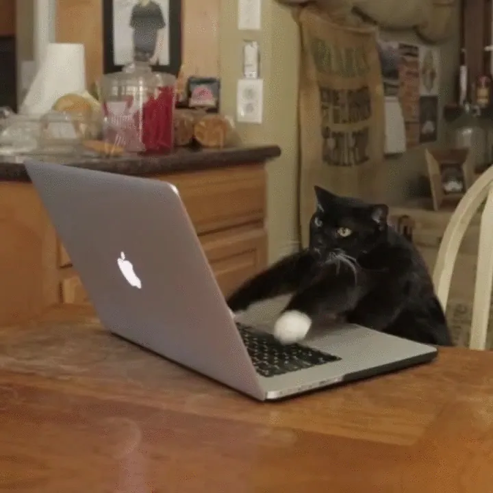cattyping16.gif