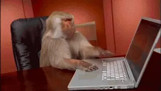 obez.gif