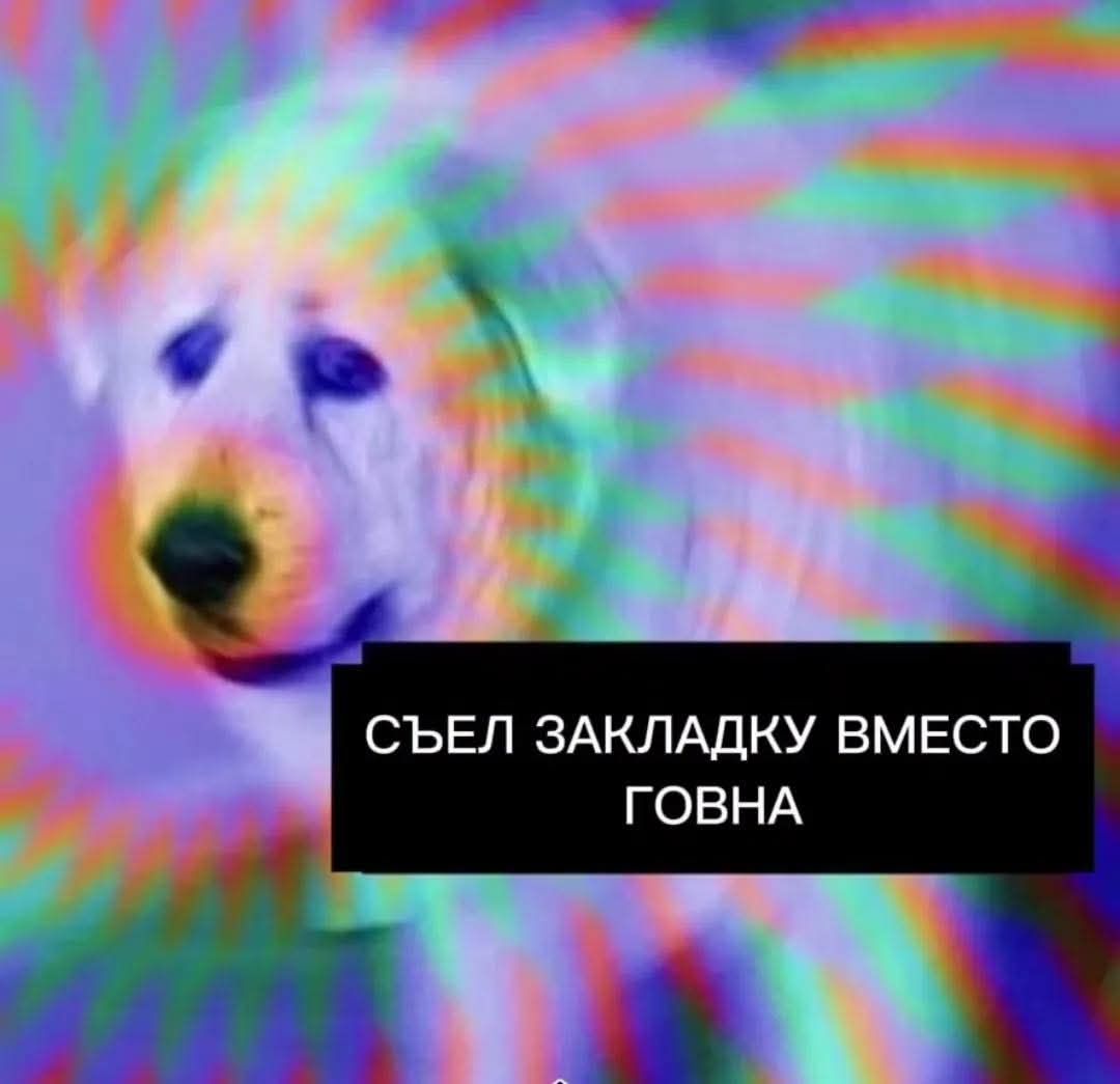 558160097_1112522297675626_1840620935139764826_n.jpg