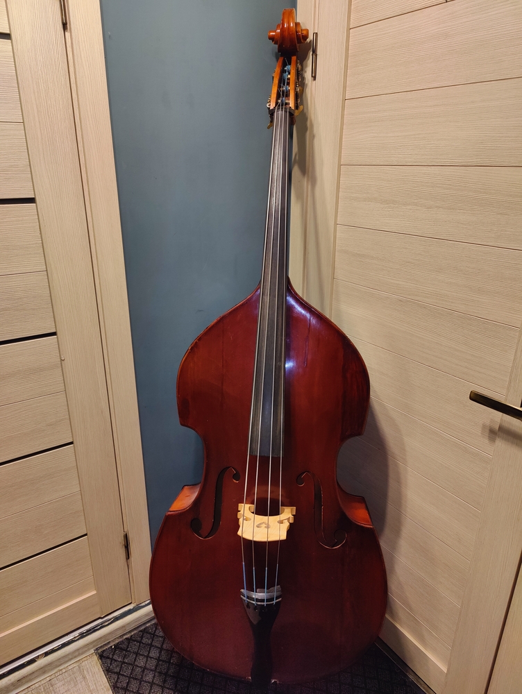 img20260217192557.jpg